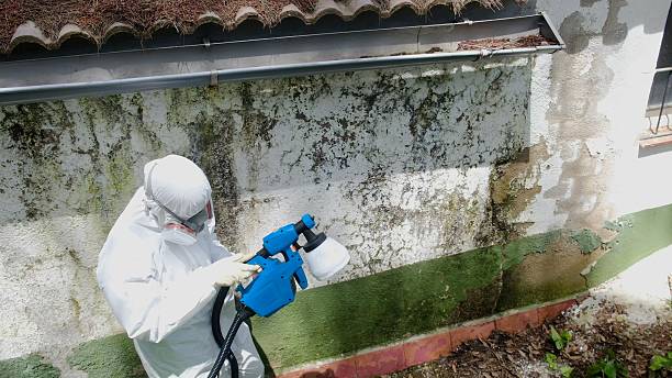 Trusted Mold Inspection service in Smithmill, PA - Cheap Mold Removal